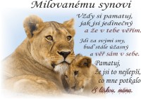 Milovanému synovi